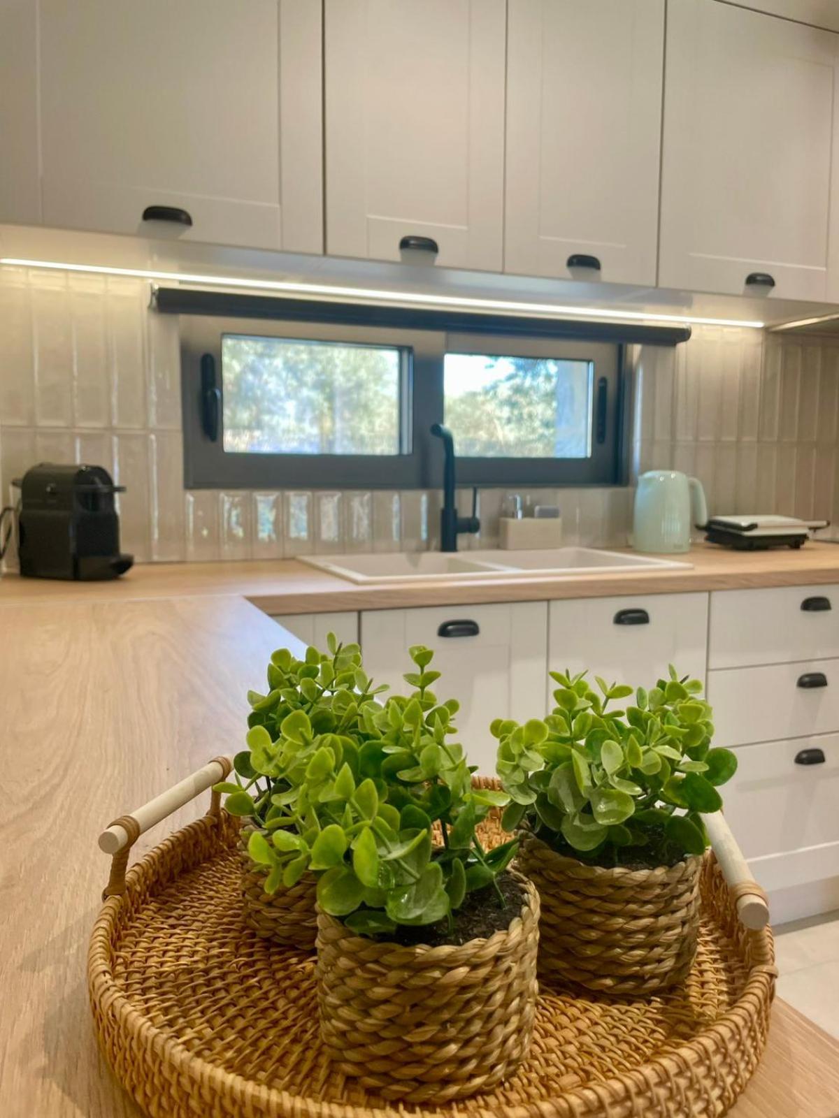 Yannis Retreat Apartment Лефкада Екстериор снимка